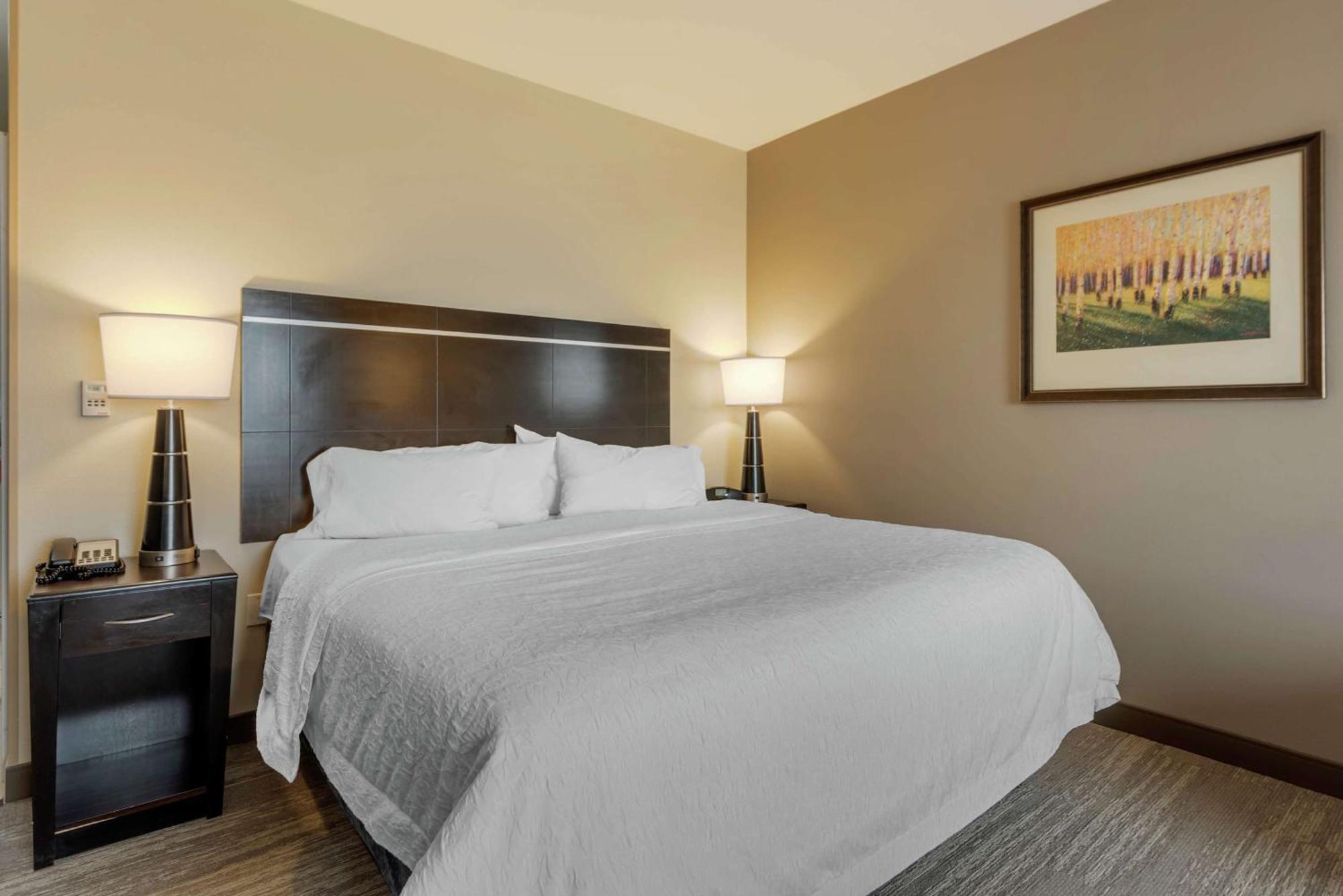 Hampton Inn Alamosa Eksteriør bilde